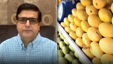 پی ایف وی اے نے رواں سیزن کے لیے آم کی ایکسپورٹ کے ہدف کا اعلان کردیا
