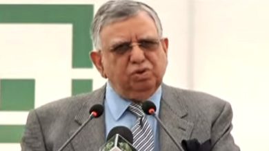 ڈالر میں سٹے بازی ہورہی ہے، اسٹیٹ بینک سے تحقیقات کا کہا ہے، شوکت ترین کا انکشاف